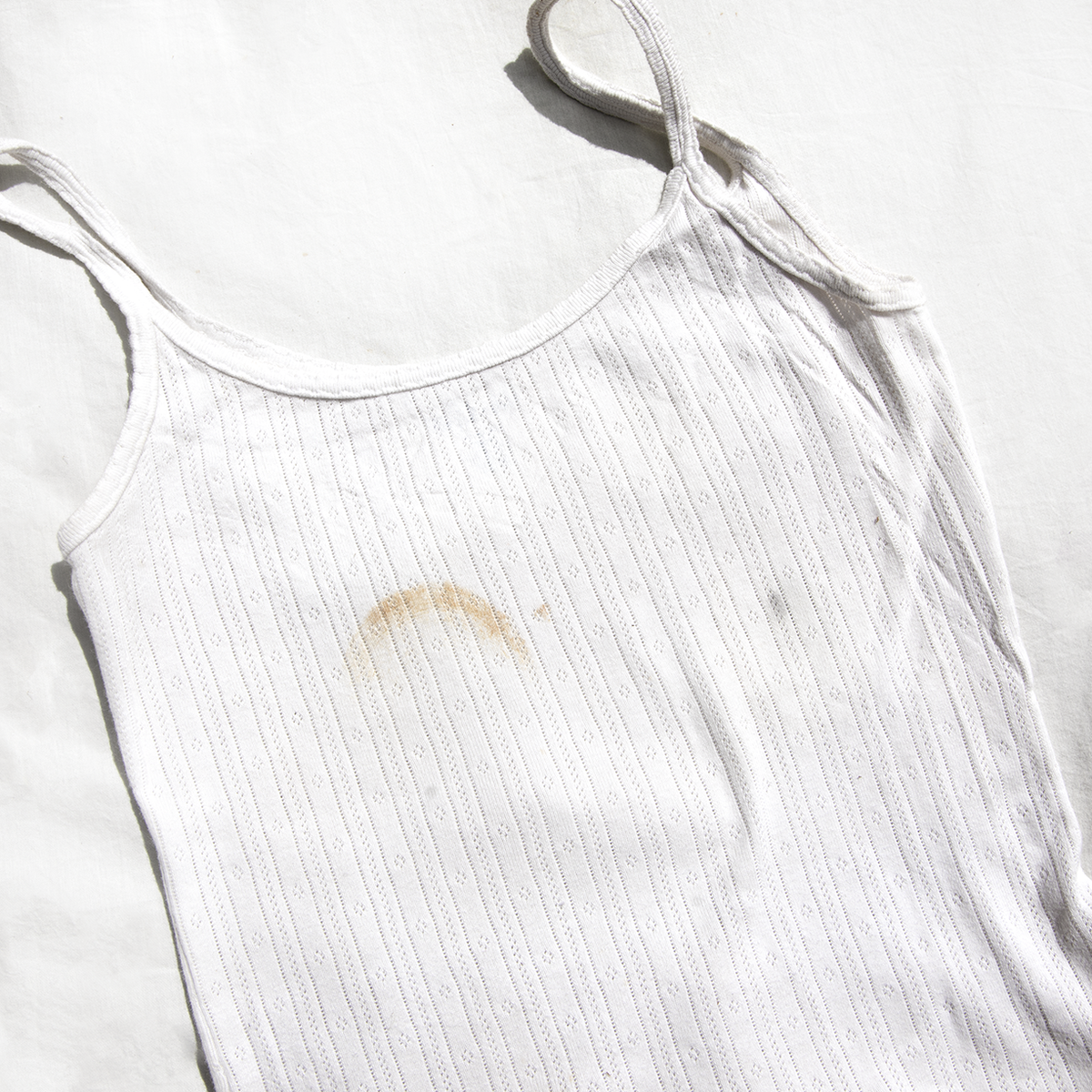 impermanence ribcage tank