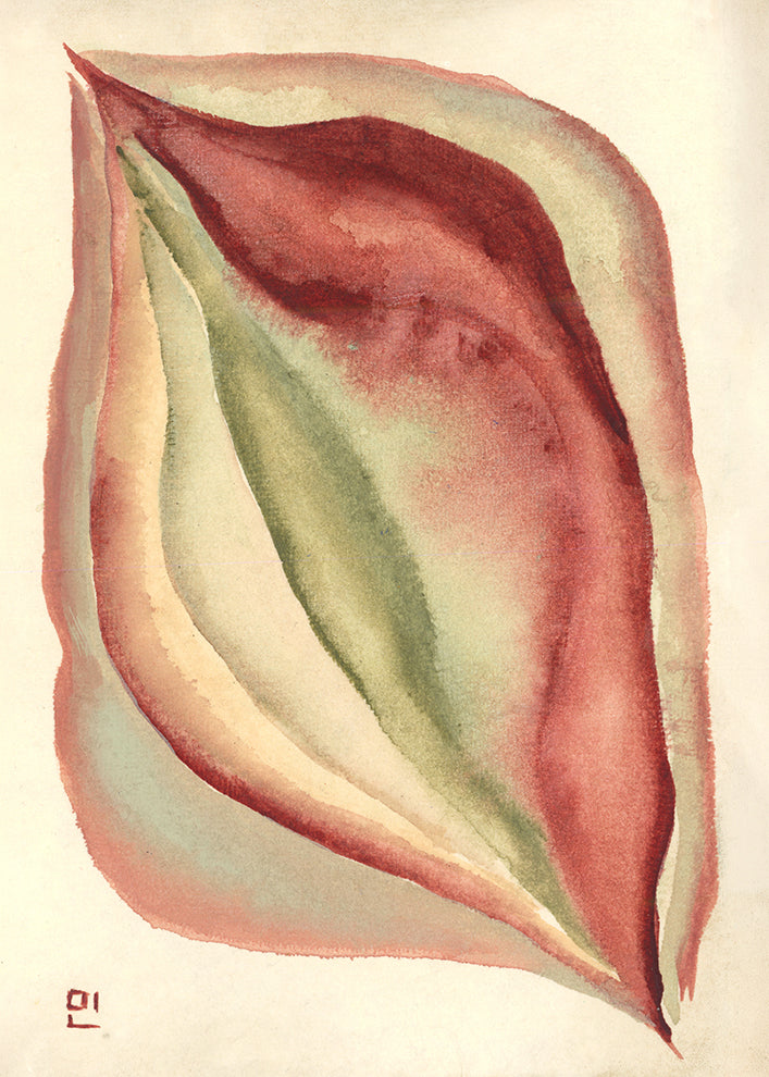 anthurium
